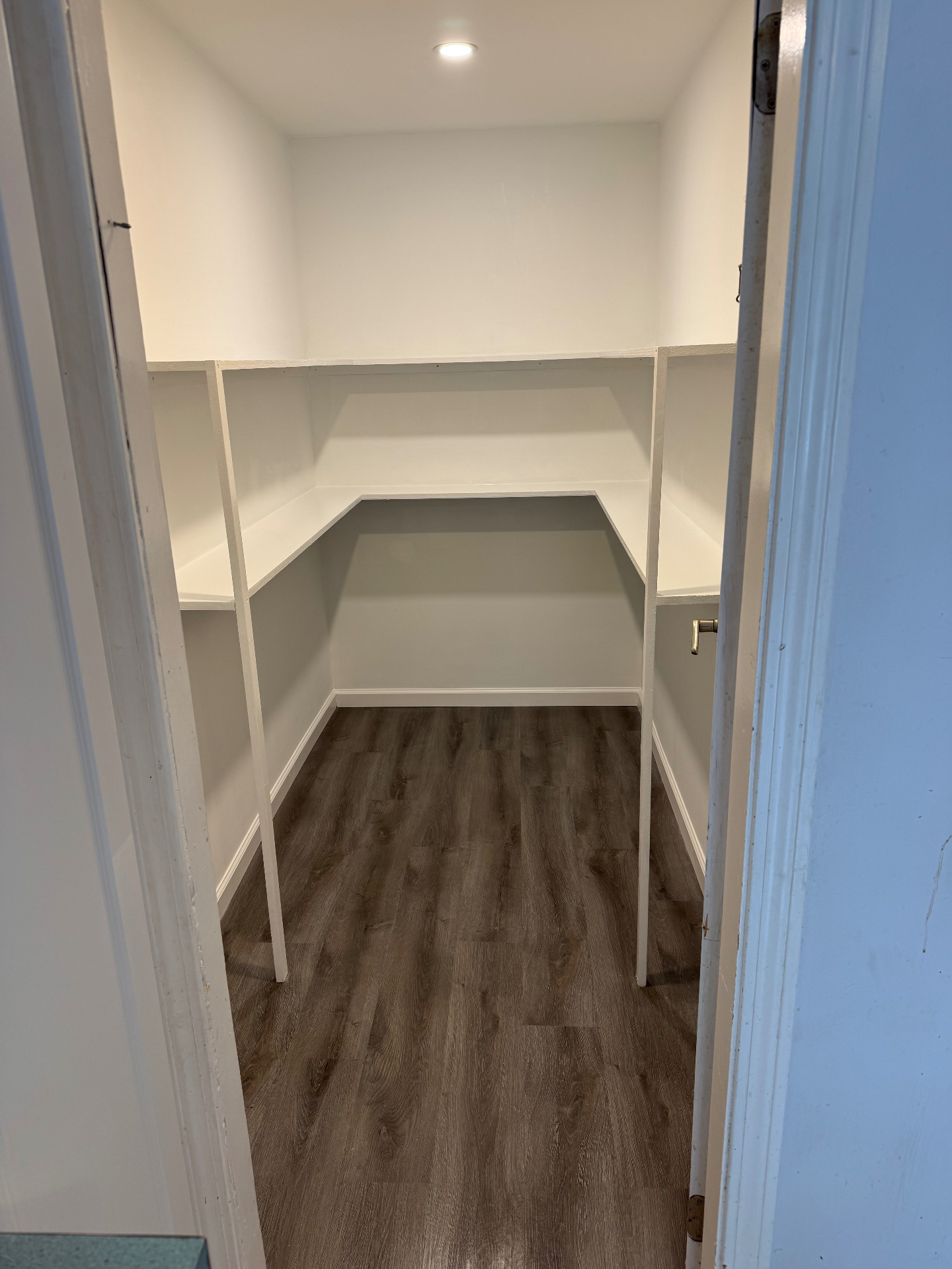 Walk-In Closet with LVP Flooring